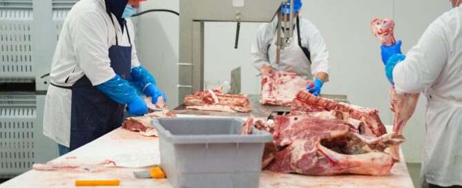 Batch Food Processing for Meat Industry