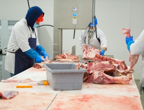 Essential ERP Features for Food Production Software