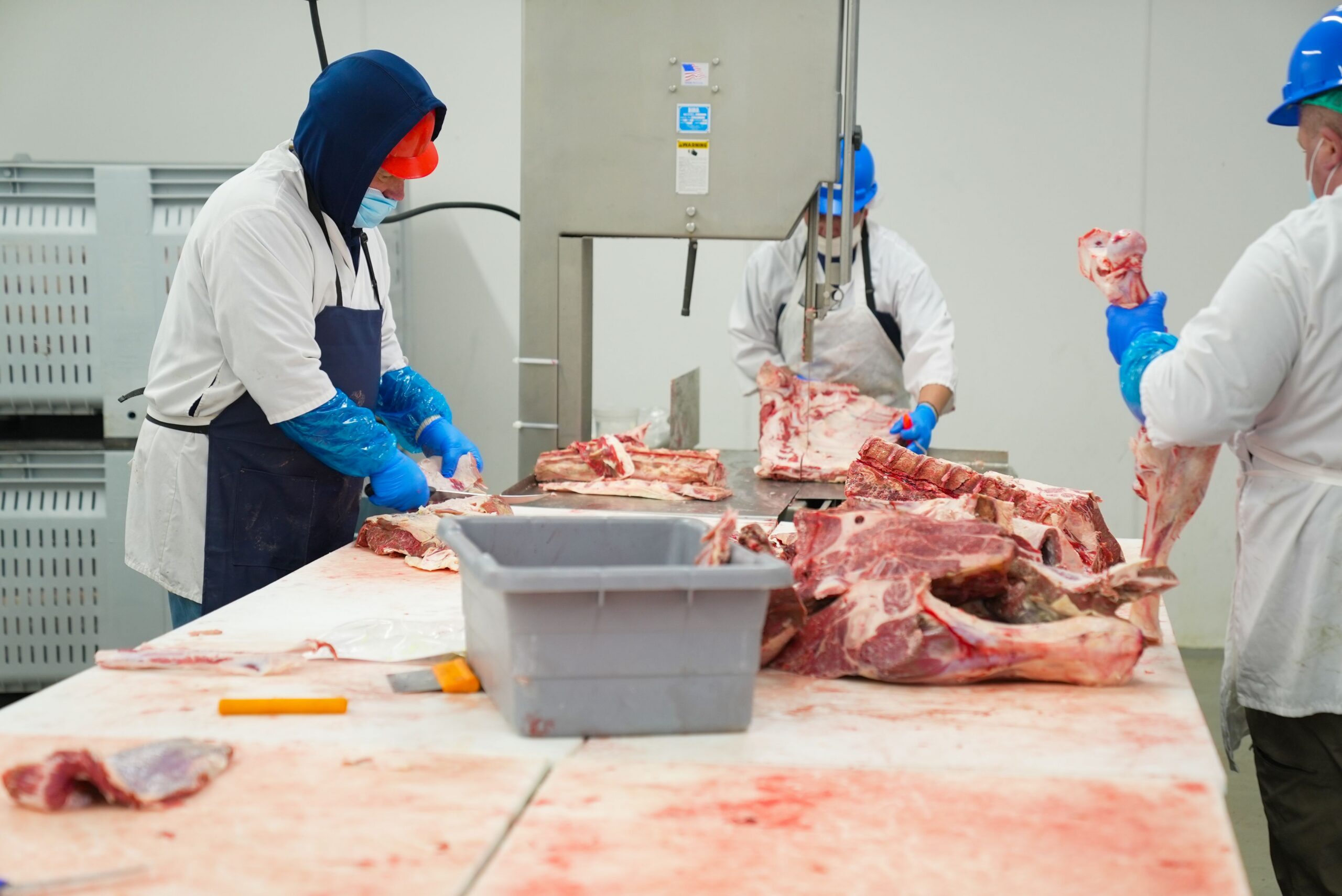 Batch Food Processing for Meat Industry